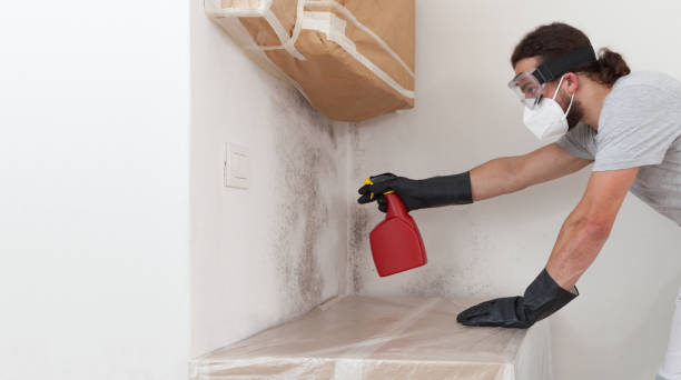 Professional Crawl Space Mold Remediation technician working in Woodstock, IL