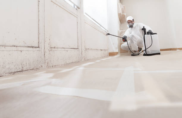 24/7 Emergency Crawl Space Mold Remediation experts in Woodstock, IL
